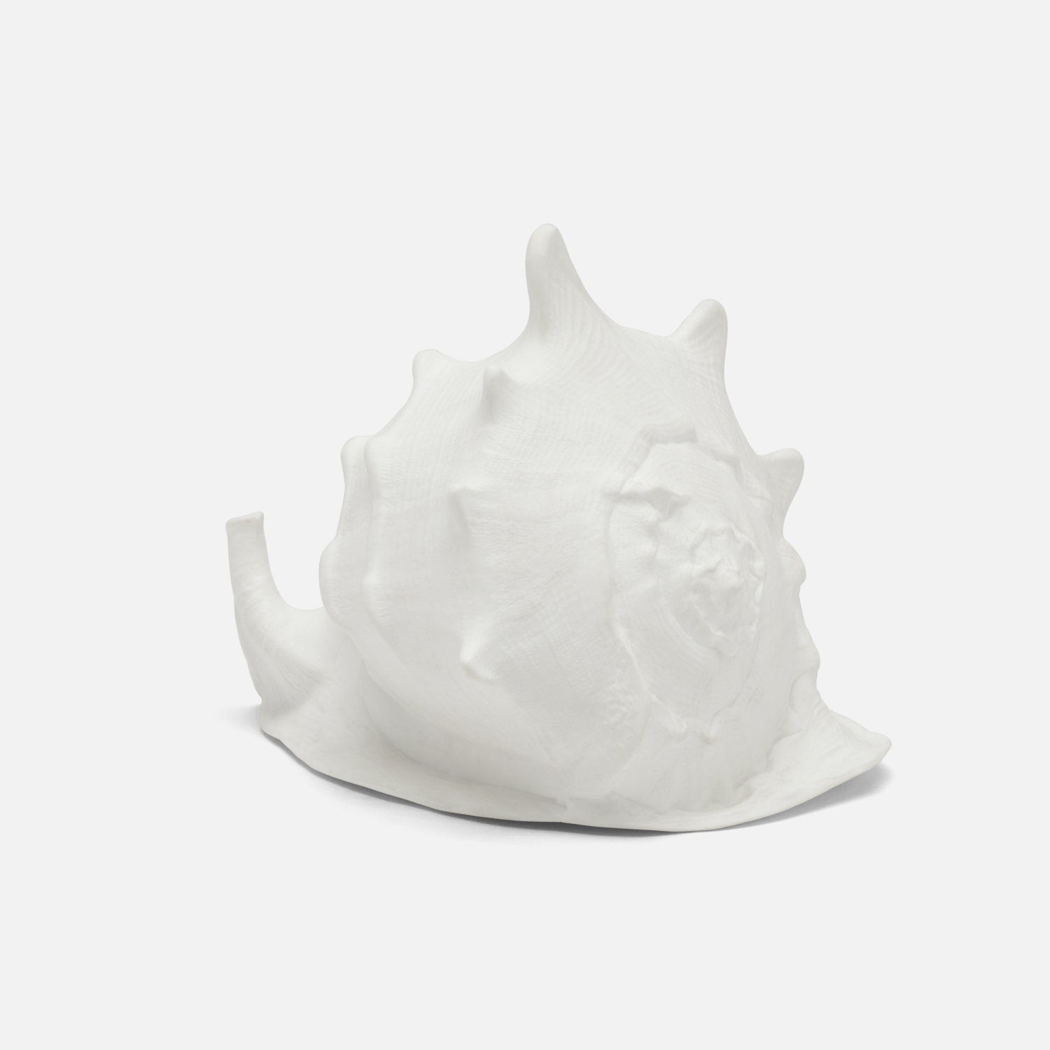 Gian Porcelain Conch Sculpture - Multiple of 2