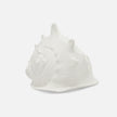Gian Porcelain Conch Sculpture - Multiple of 2
