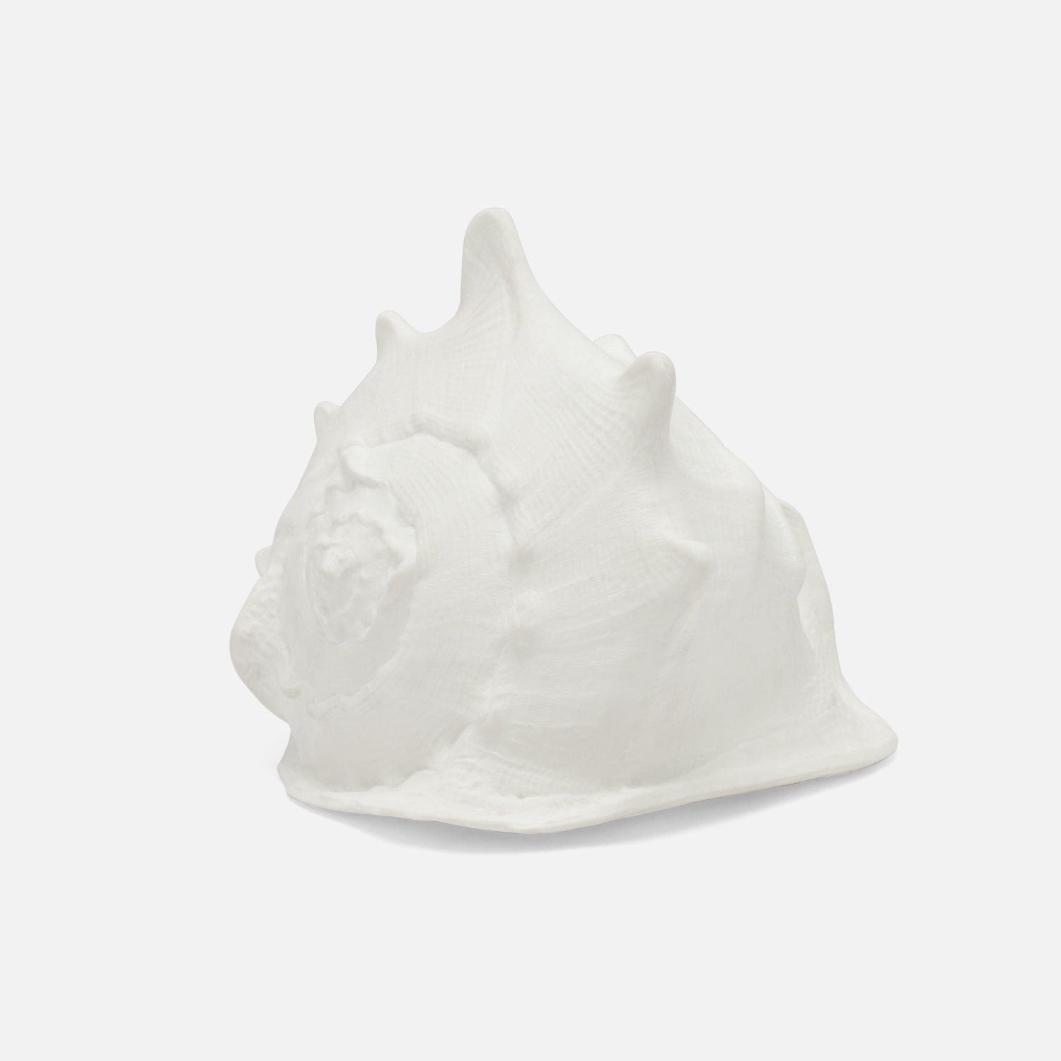 Gian Porcelain Conch Sculpture - Multiple of 2