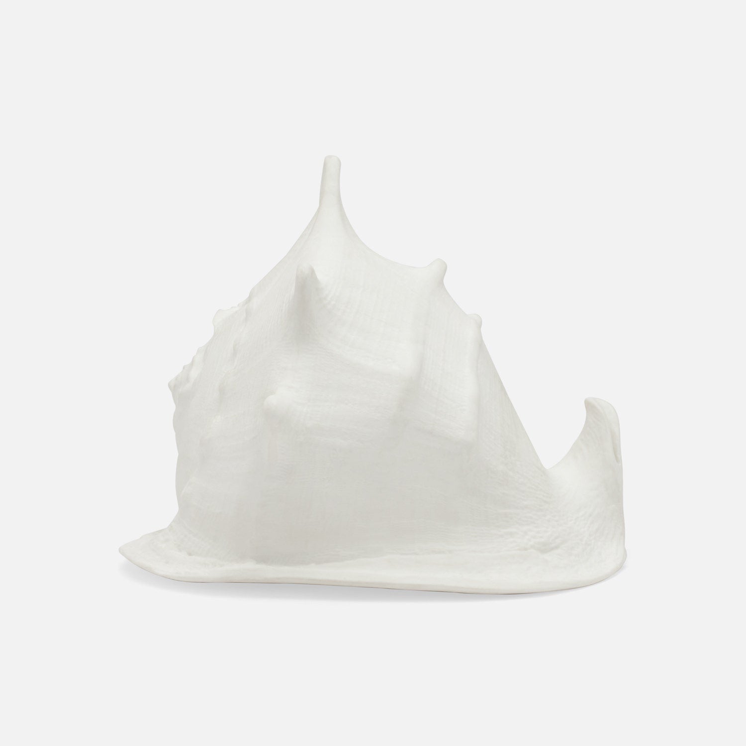 Gian Porcelain Conch Sculpture - Multiple of 2