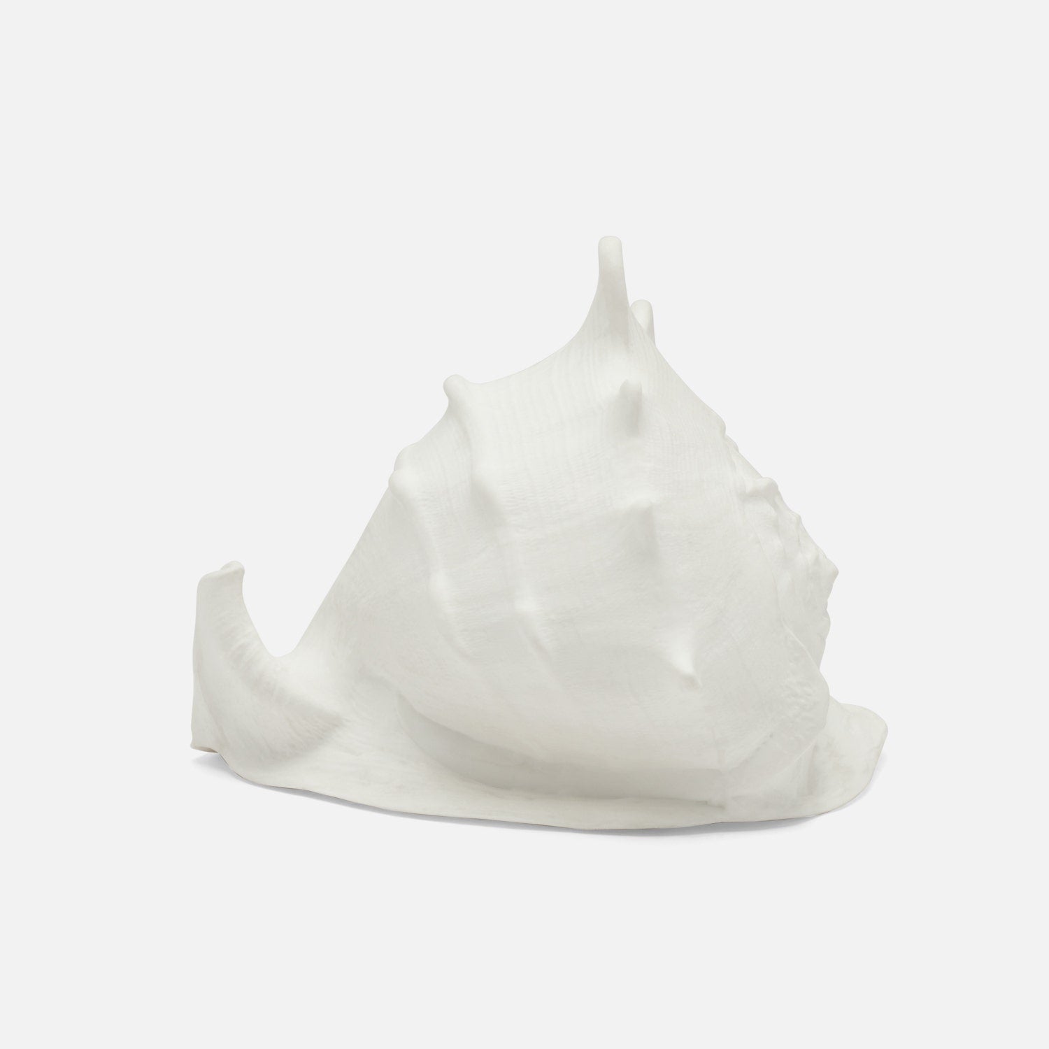 Gian Porcelain Conch Sculpture - Multiple of 2