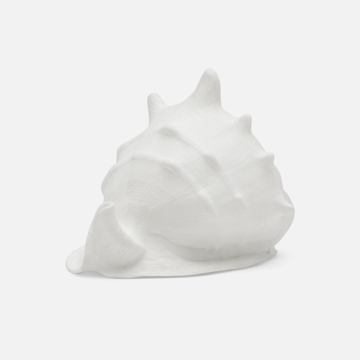 Gian Porcelain Conch Sculpture - Multiple of 2