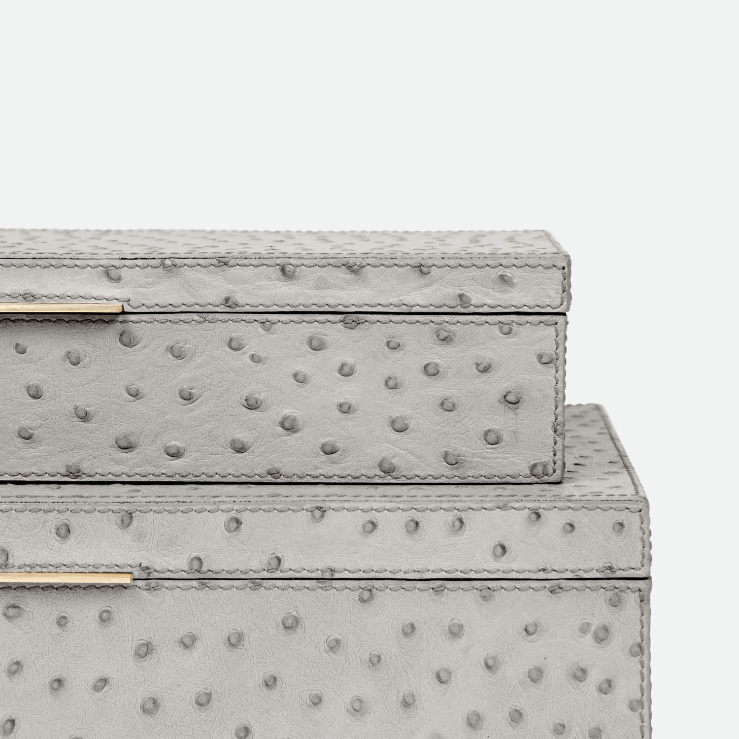Imani Ostrich Embossed Leather Box - Set of 2