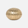 Obelia Urchin Brass Box