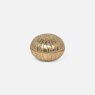 Obelia Urchin Brass Box