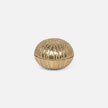 Obelia Urchin Brass Box