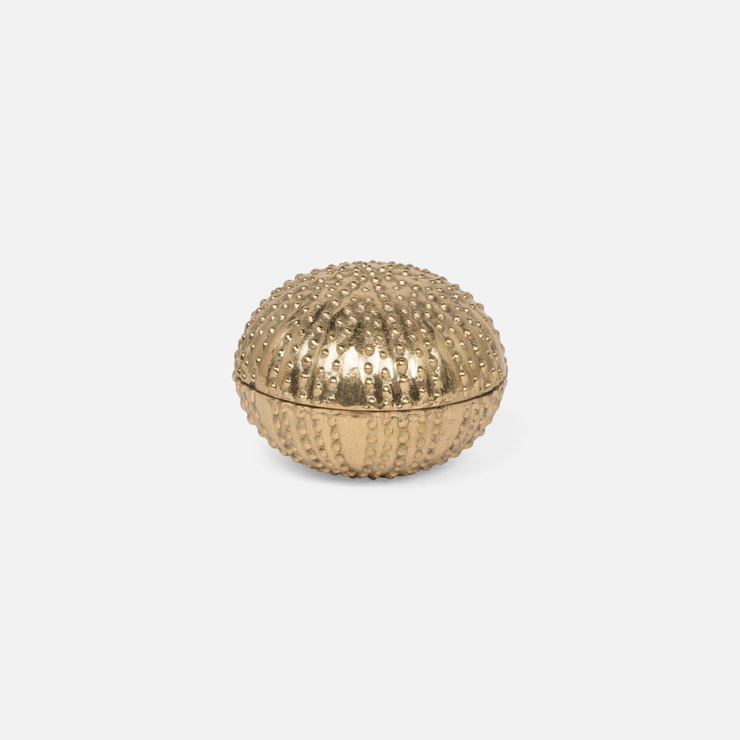 Obelia Urchin Brass Box