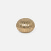 Obelia Urchin Brass Box