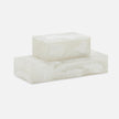 Osias Resin Box - Set of 2