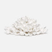 Sonia Oyster Shell Sculpture