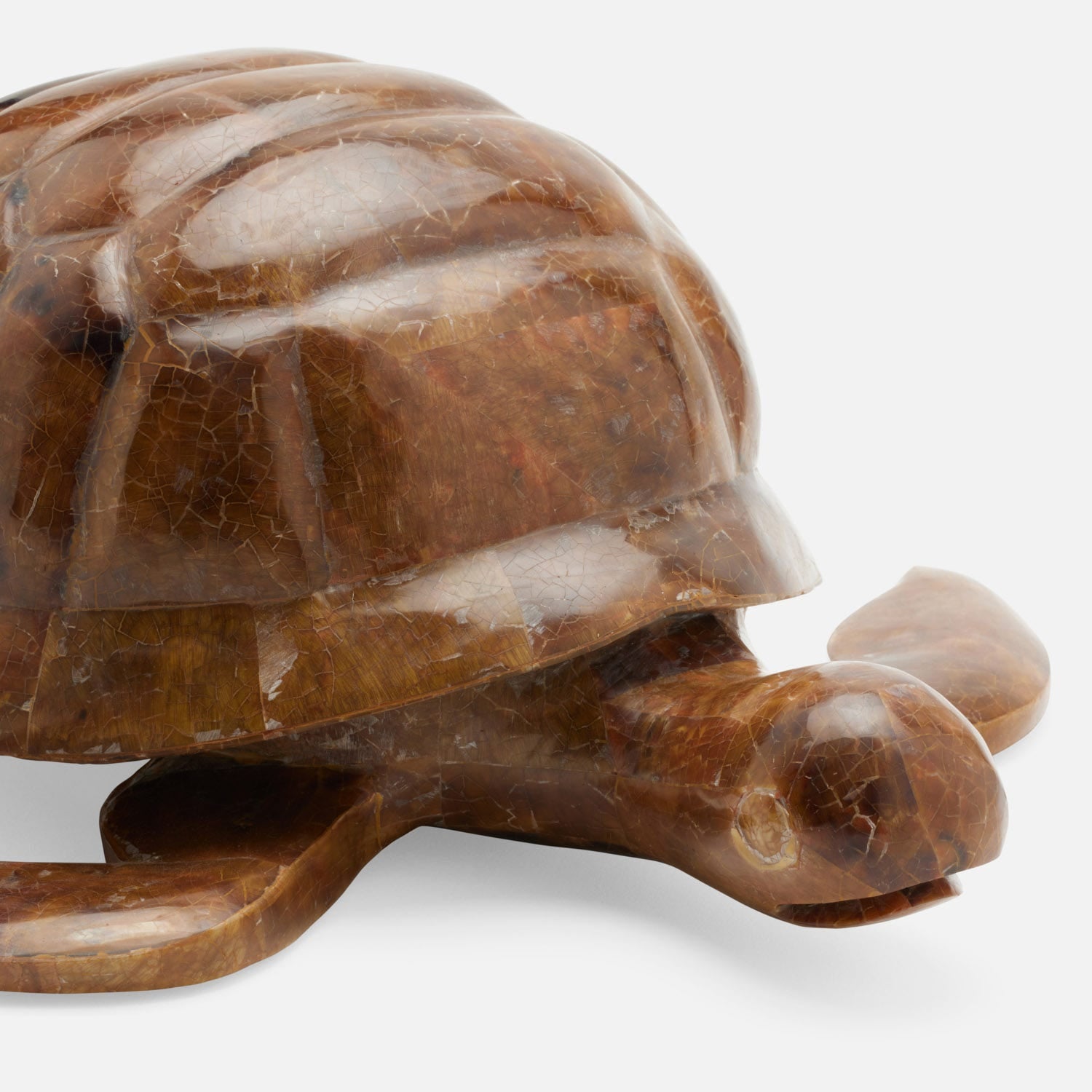 Theodore Amber Tortoise Object
