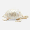 Theodore Amber Tortoise Object