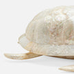 Theodore Amber Tortoise Object