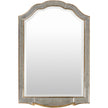 Surya Oleander Accent Mirror