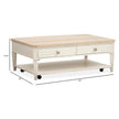 Salt Life Home Echo Isles Sea Pearl and Driftwood Lift Top Storage Cocktail Table with Casters