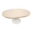 Salt Life Home Echo Isles Sea Pearl and Driftwood Extendable 54