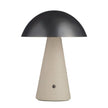 Arteriors Struzzo Accent Lamp