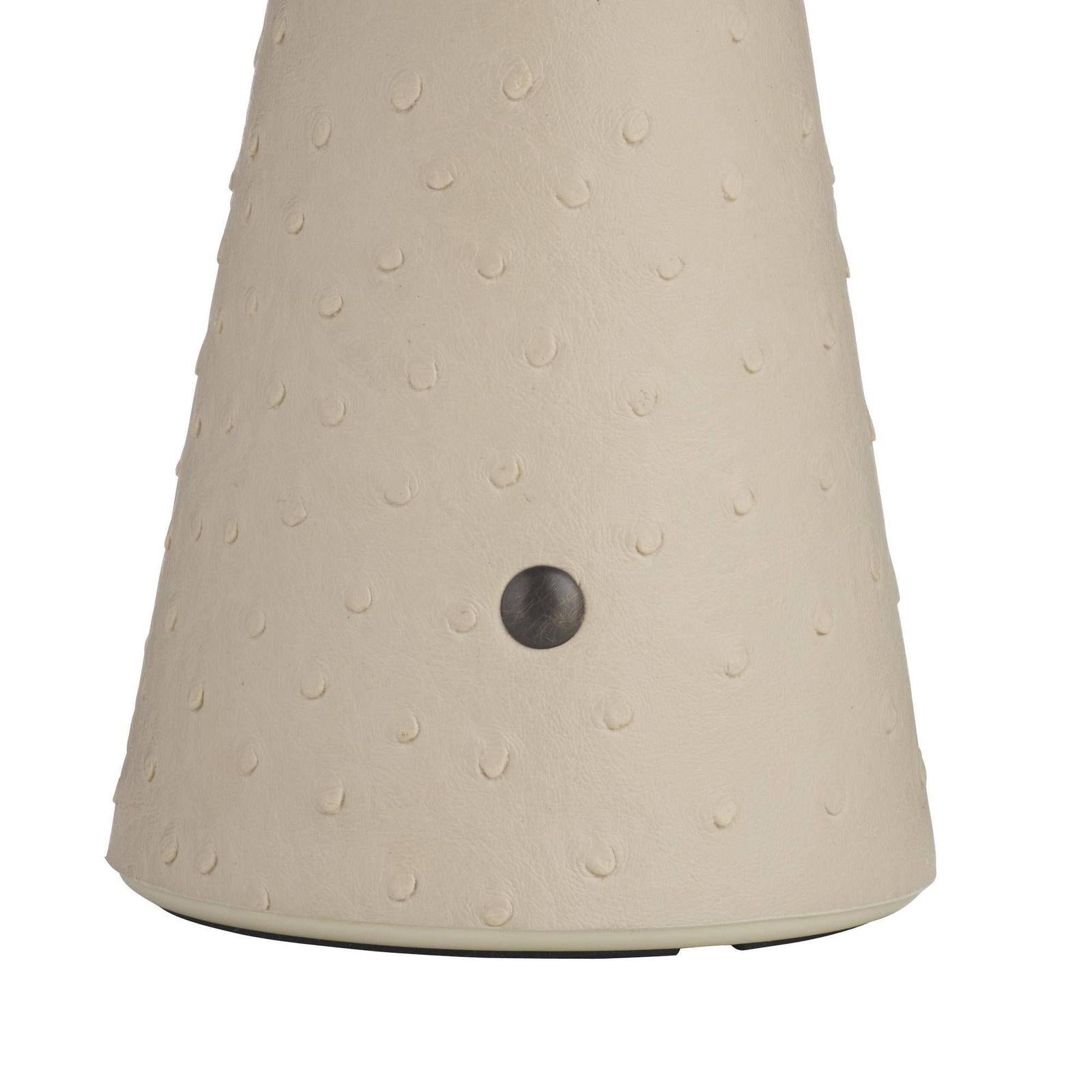 Arteriors Struzzo Accent Lamp