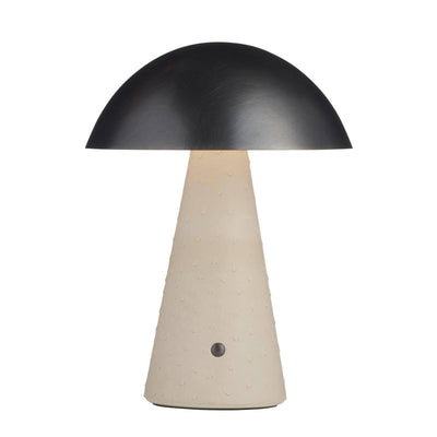 Arteriors Struzzo Accent Lamp