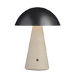 Arteriors Struzzo Accent Lamp