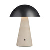 Arteriors Struzzo Accent Lamp