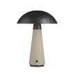 Arteriors Struzzo Accent Lamp