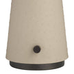 Arteriors Struzzo Accent Lamp