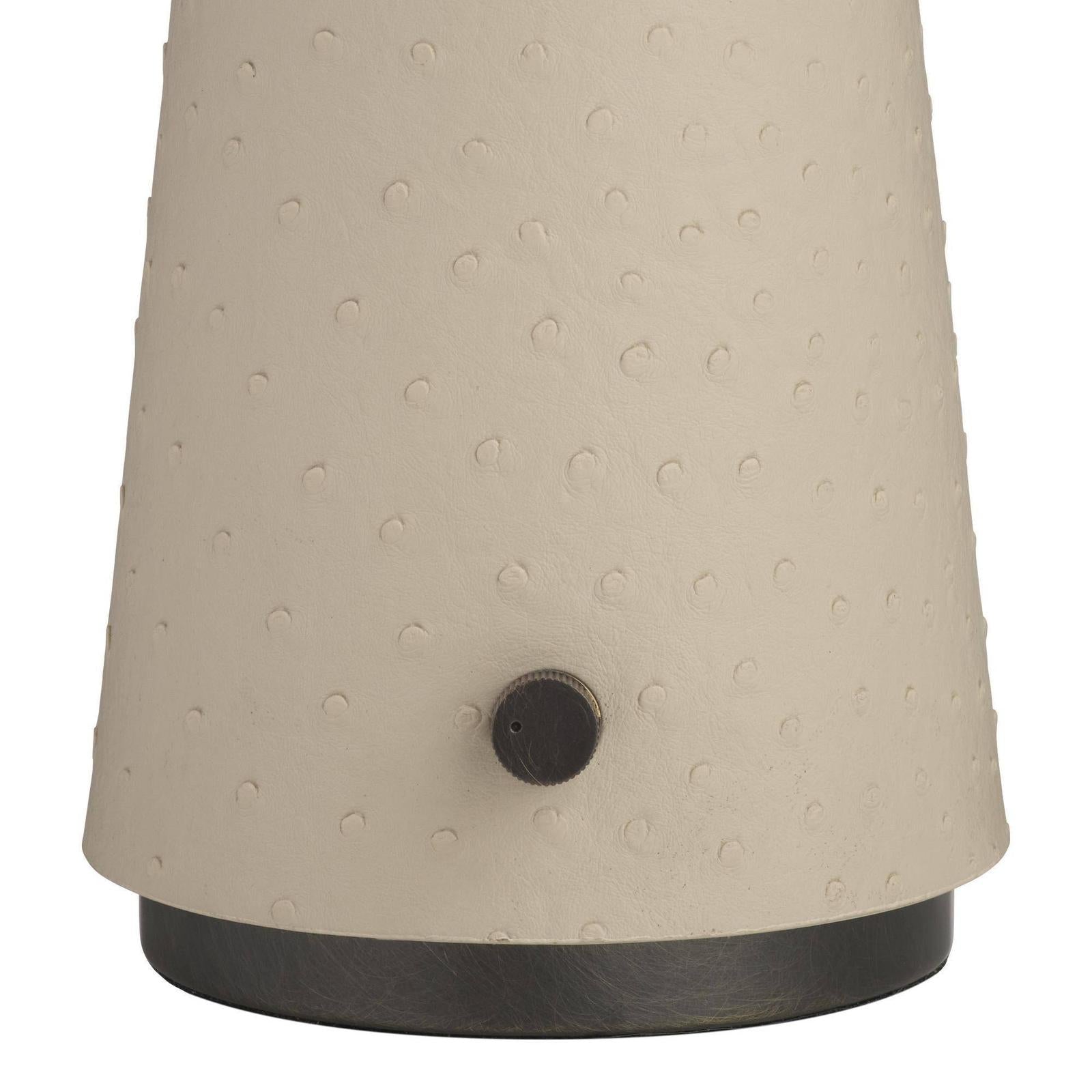 Arteriors Struzzo Accent Lamp