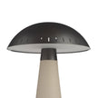 Arteriors Struzzo Accent Lamp