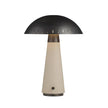 Arteriors Struzzo Accent Lamp