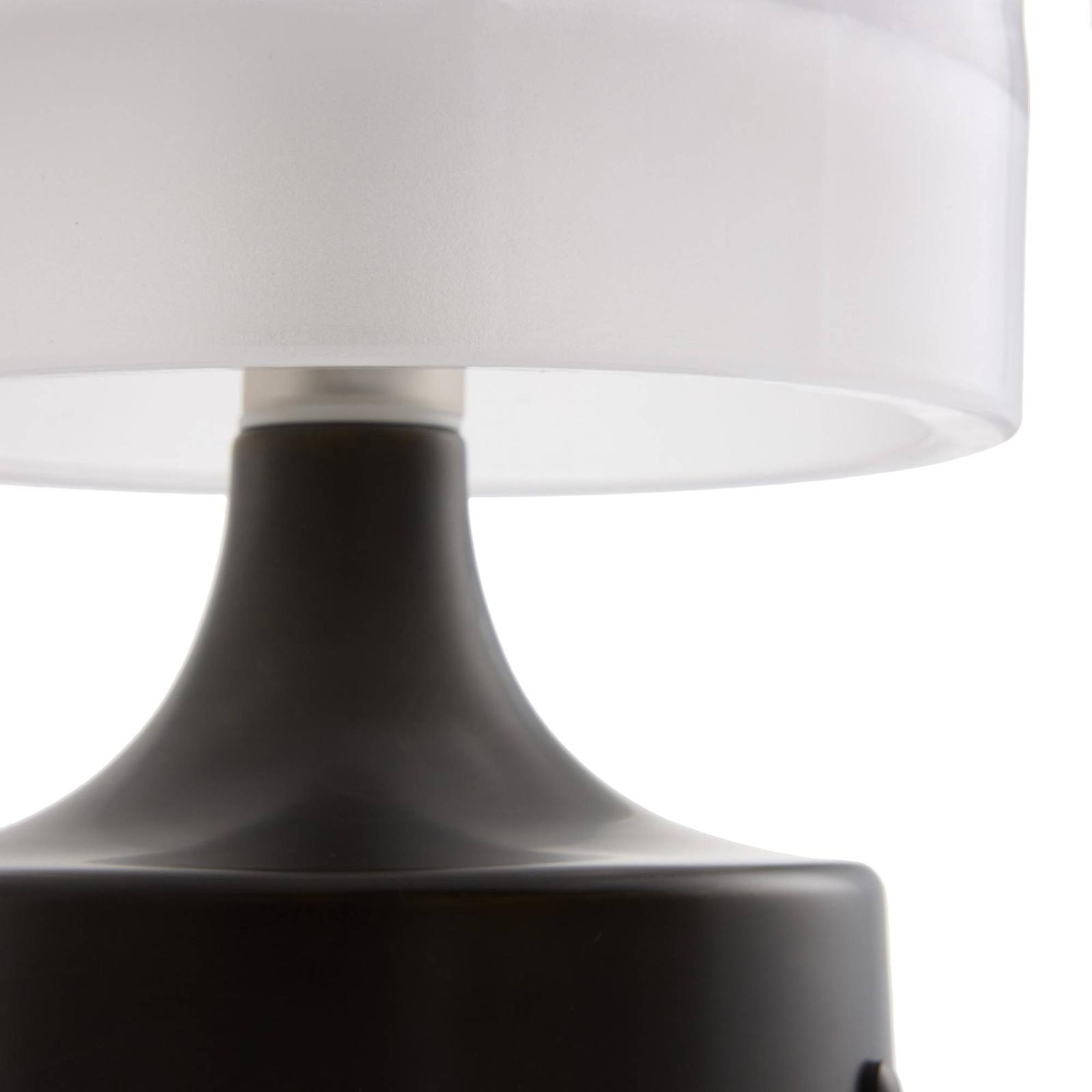 Arteriors Verglas Rechargeable Accent Lamp