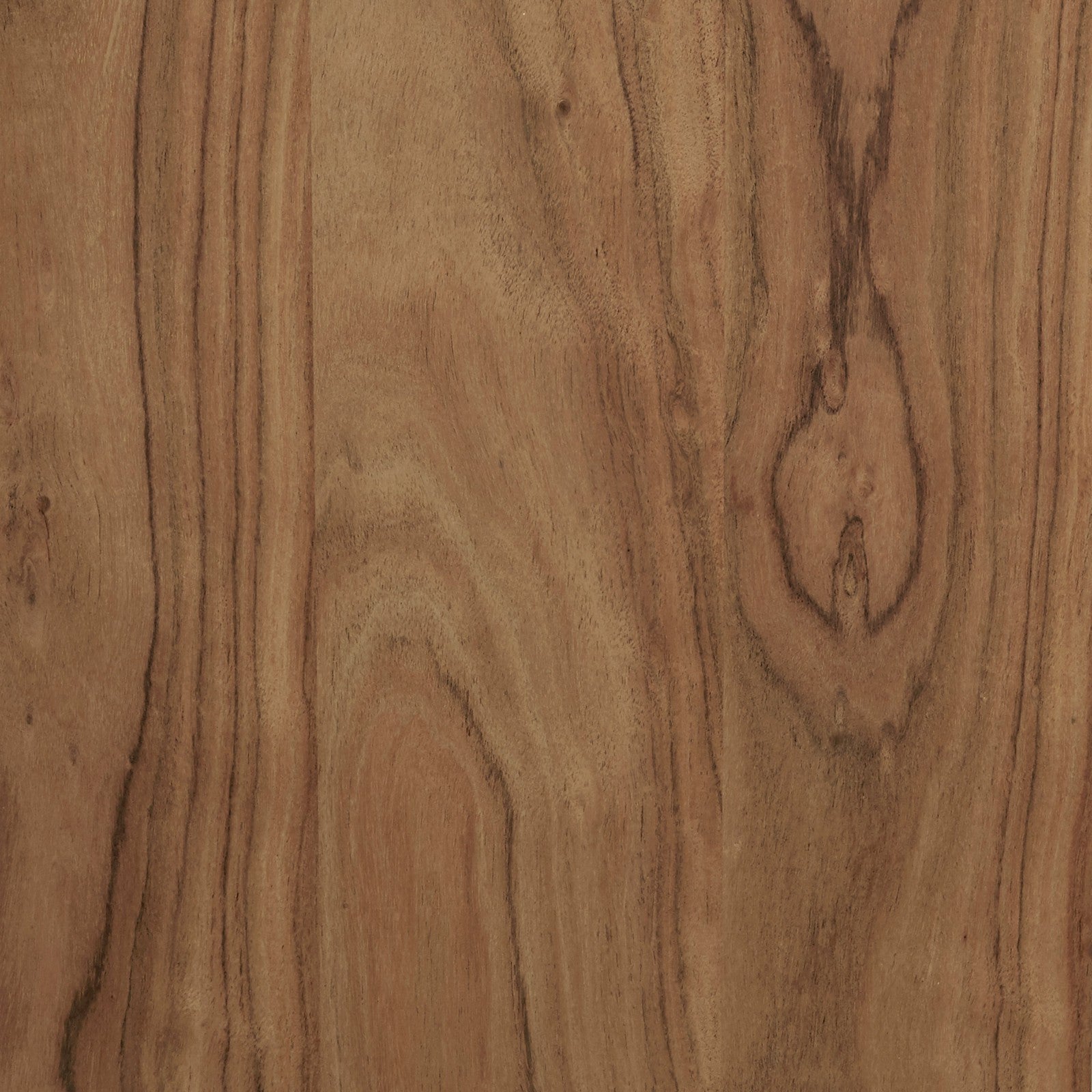 Pulaski Furniture Two Door Leather Chest