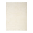 Nourison Dreamy Shag DRS05 Shag Indoor Rug