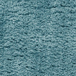 Nourison Dreamy Shag DRS05 Shag Indoor Rug