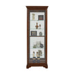 Pulaski Furniture PFC Curios Mirrored 5 Shelf Gallery Curio Cabinet