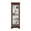 Pulaski Furniture PFC Curios Mirrored Curio 5 Shelf Gallery Cabinet