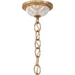 Schonbek Century 1704 Chandelier