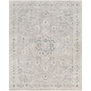 Surya Palazzo PZL-2300 Machine Woven Rug