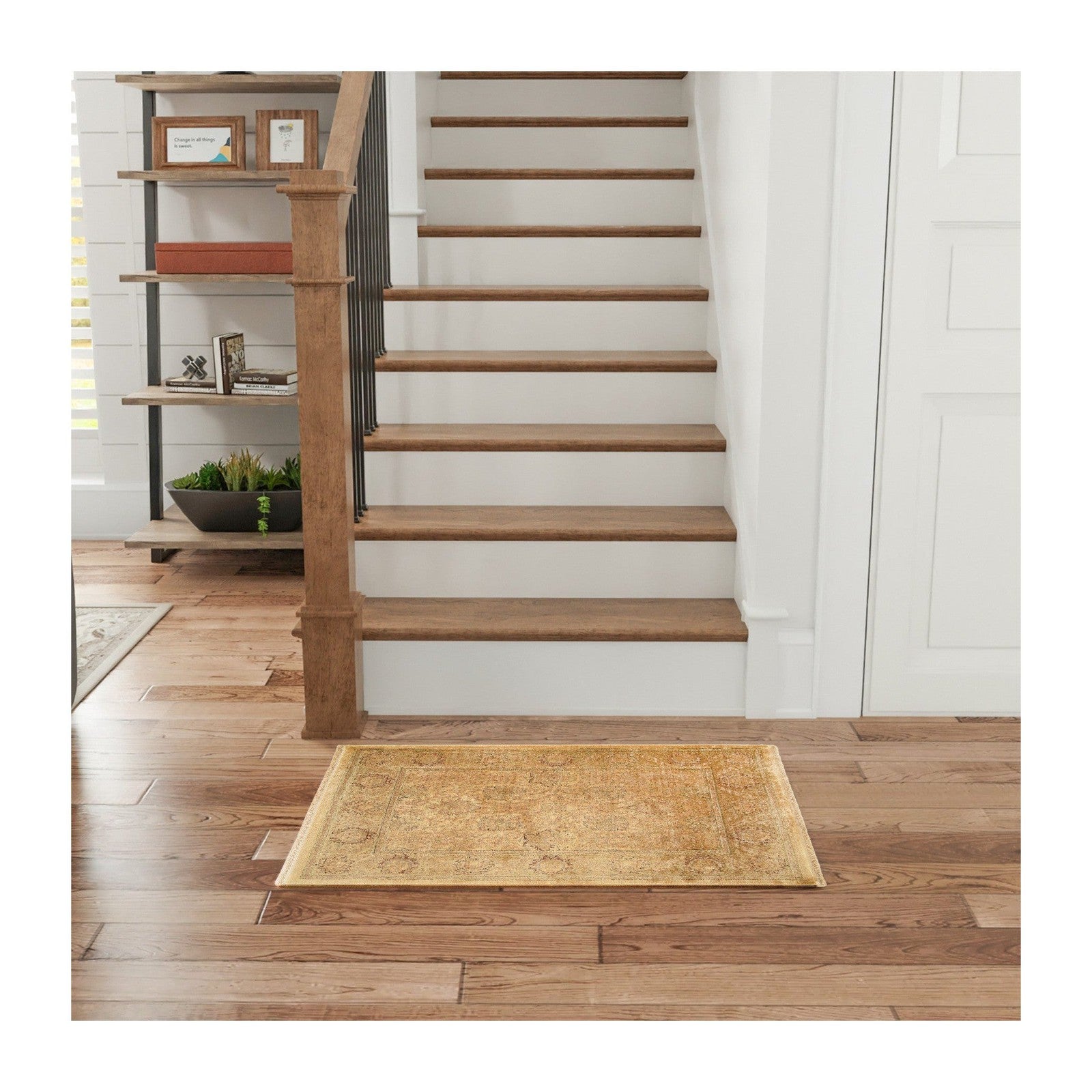 Nourison Luxurious LRS02 Vintage Indoor Rug