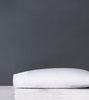 Eastern Accents Carlotta Lace Pillowcase