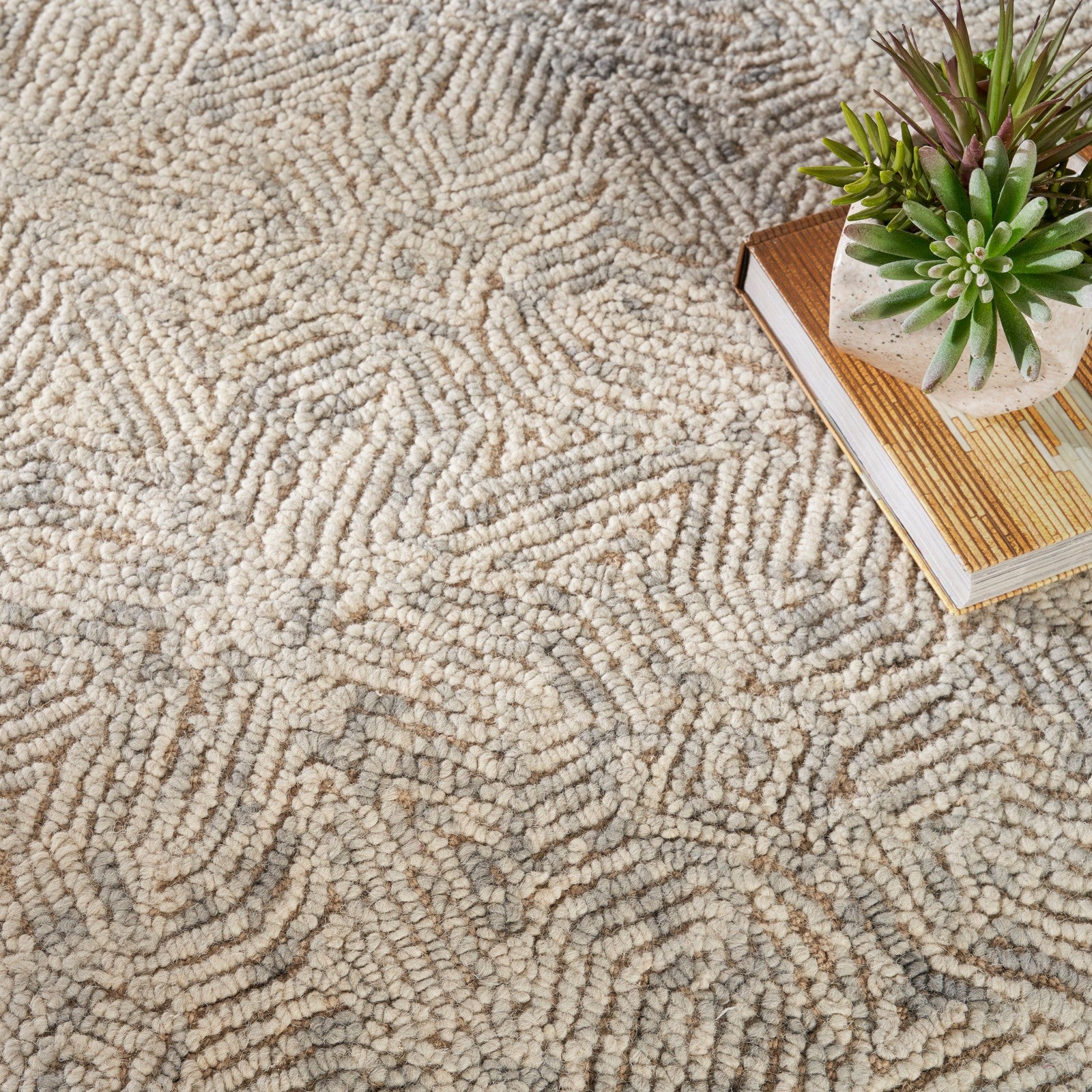 Nourison Colorado CLR05 Modern Indoor Rug