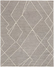 Feizy Euclid T8004 Rug in Gray/Ivory