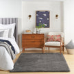 Nourison Dreamy Shag DRS05 Shag Indoor Rug