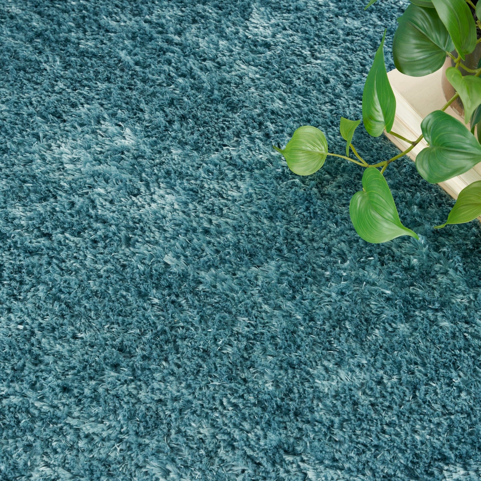 Nourison Dreamy Shag DRS05 Shag Indoor Rug