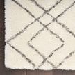 Nourison Dreamy Shag DRS07 Shag Indoor Rug