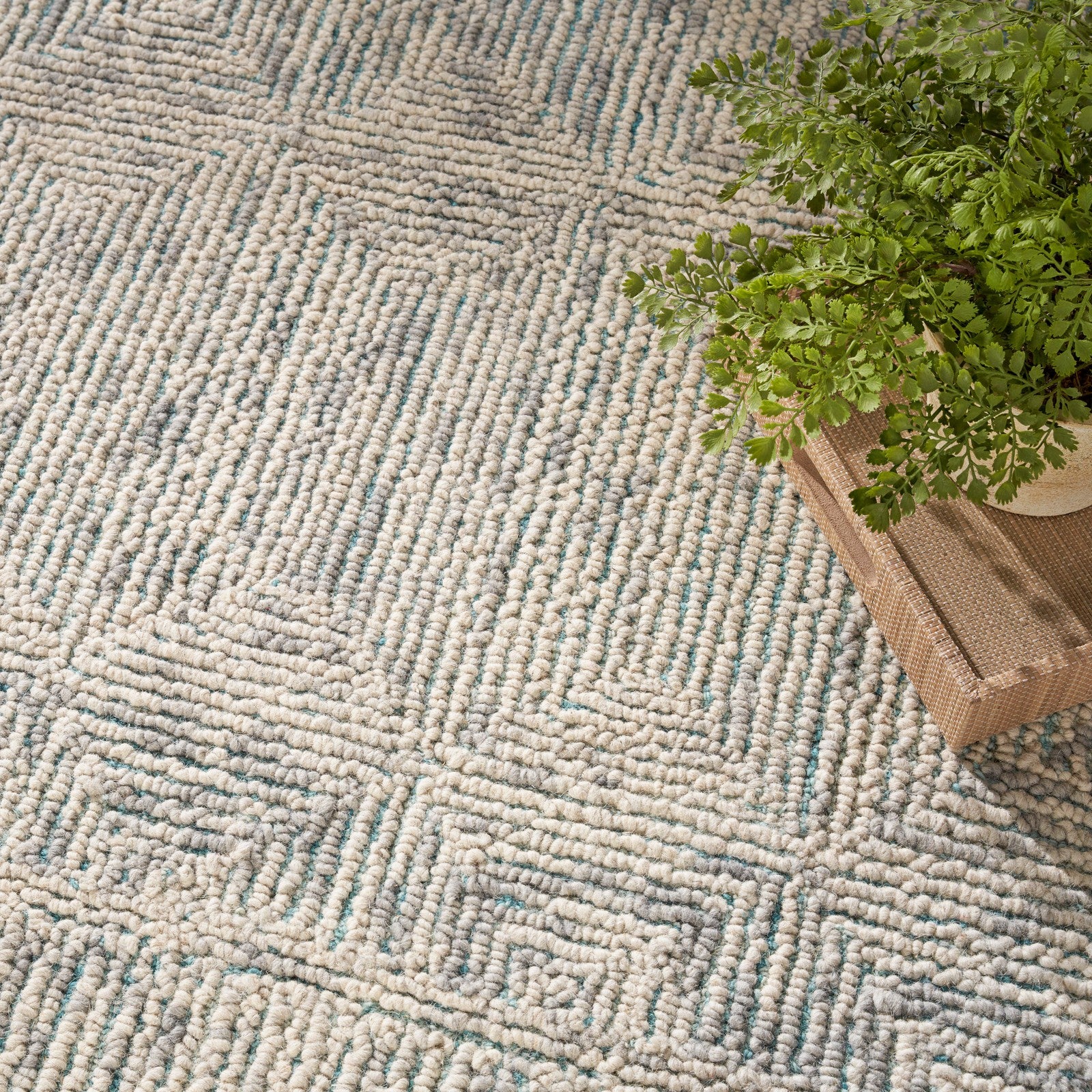 Nourison Colorado CLR04 Modern Indoor Rug