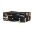 Century Furniture Grand Tour Furniture Petrified Wood Cocktail Table