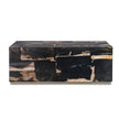Century Furniture Grand Tour Furniture Petrified Wood Cocktail Table