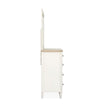 Salt Life Home Echo Isles Sea Pearl and Driftwood Double Drawer Dresser with Landscape Mirror