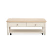 Salt Life Home Echo Isles Sea Pearl and Driftwood Lift Top Storage Cocktail Table with Casters